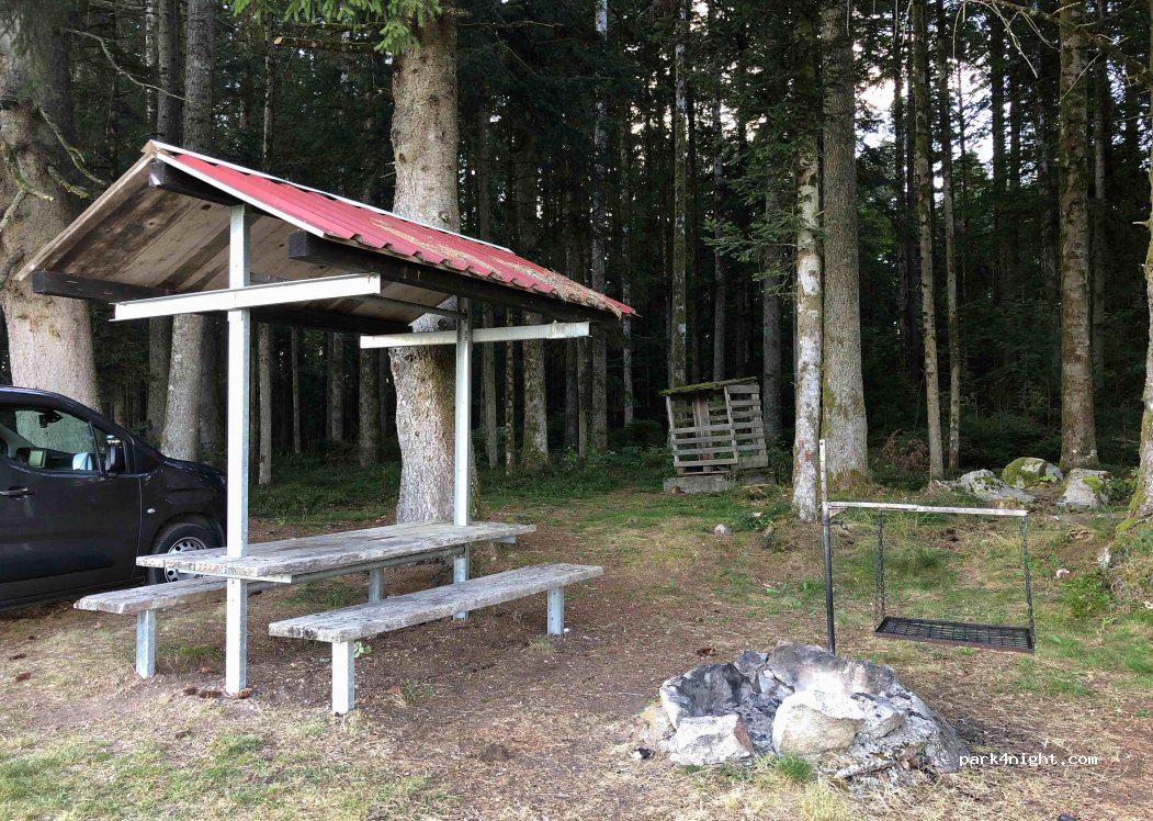 (79875) Dachsberg (Südschwarzwald) - K6529 — foto 2