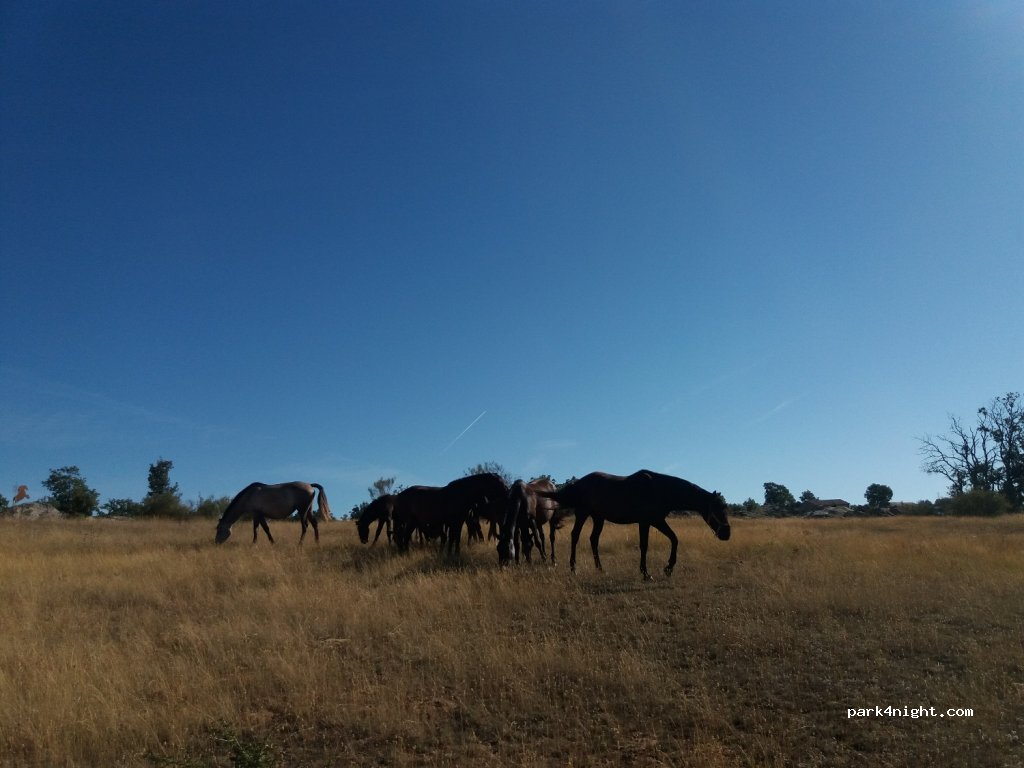 (42190) Soria - Unnamed Road — foto 3