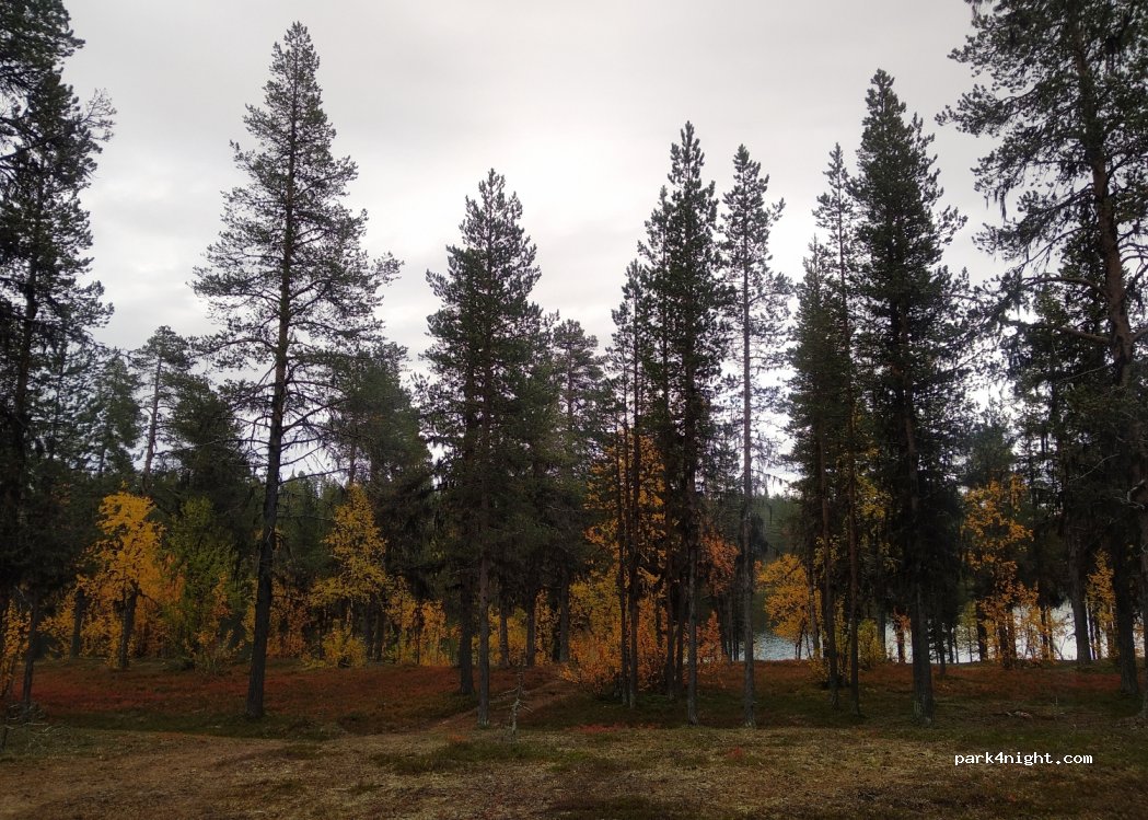 (982 04) Skaulo - Unnamed Road — foto