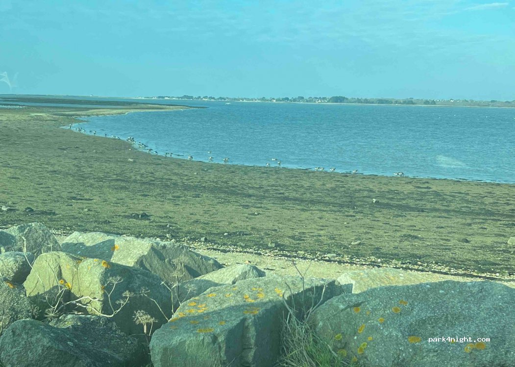 (56750) Damgan - Pointe du Dibenn — foto 4