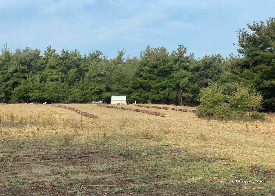 (17900) Çanakkale - Top Zeytinlik Yolu Sokak — foto 2