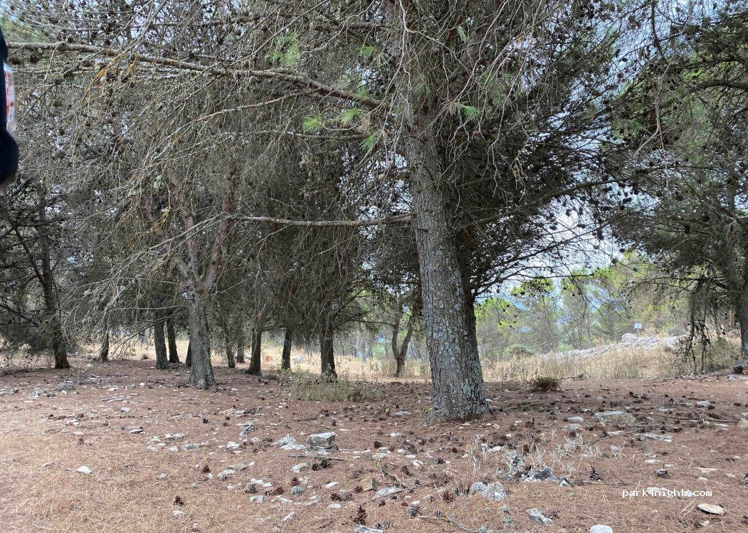 (29420) El Burgo - Carril de las Víboras — foto
