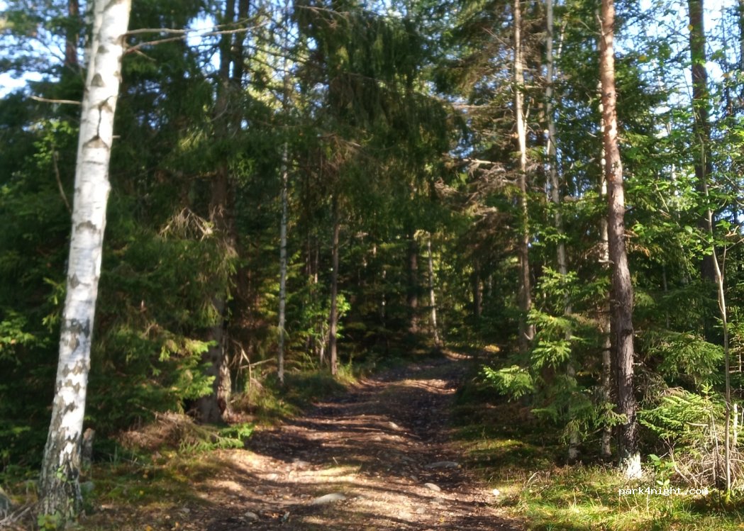 (661 96) Årjäng - Unnamed Road — foto 3