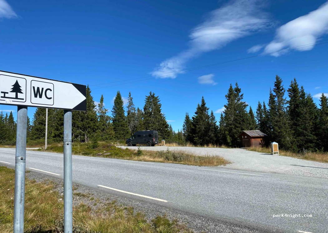 (3539) Flå - 1596 Eggedalsvegen — foto