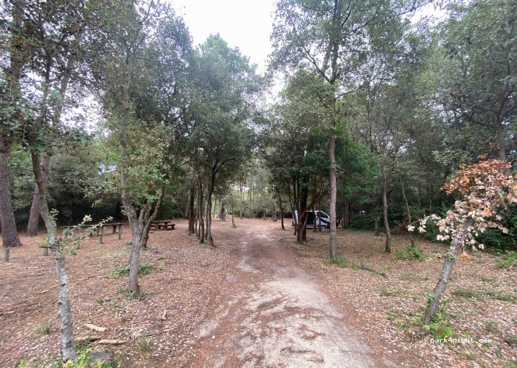 (85690) Notre-Dame-de-Monts - 40 Route de la Rive — foto