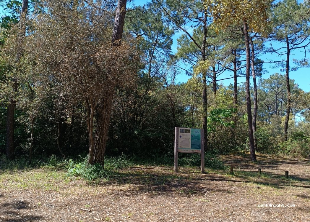 (85690) Notre-Dame-de-Monts - 40 Route de la Rive — foto 3