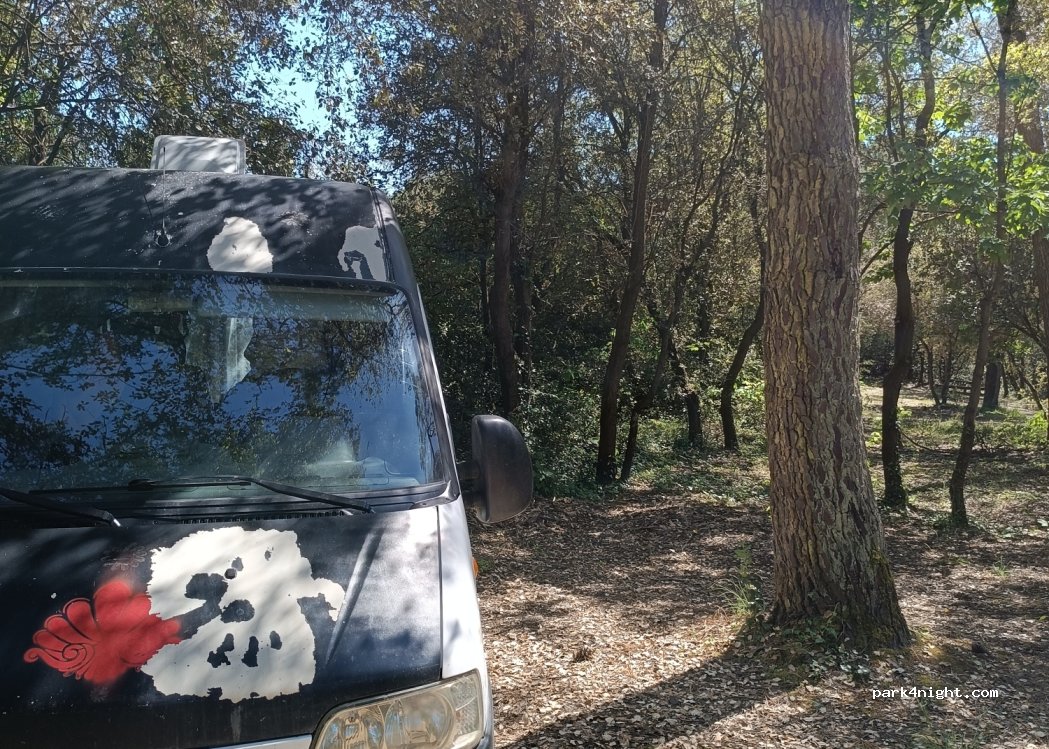 (85690) Notre-Dame-de-Monts - 40 Route de la Rive — foto 4
