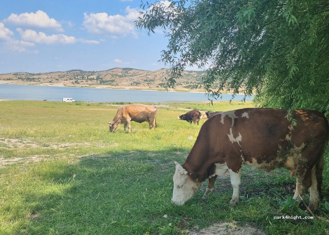 (43270) Kütahya - Unnamed Road — foto 5