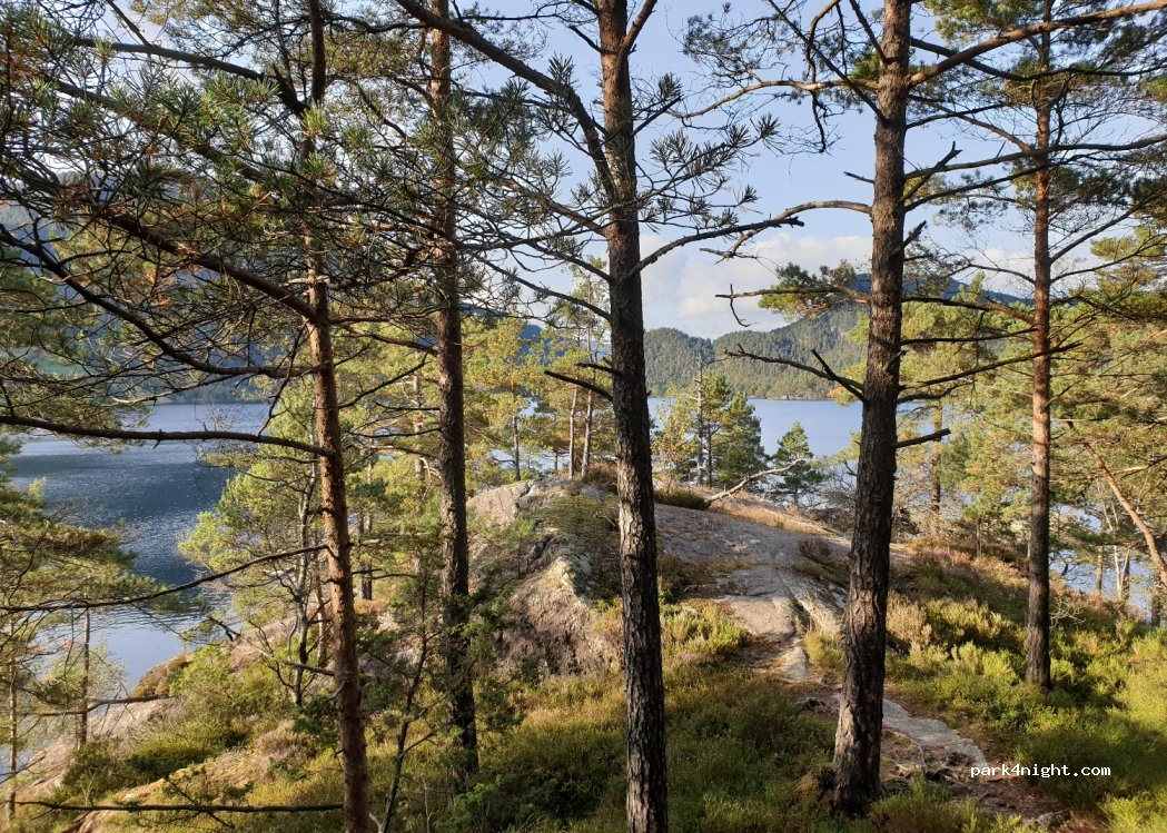 (4235) Rogaland - Sekundær Fylkesveg 681 — foto