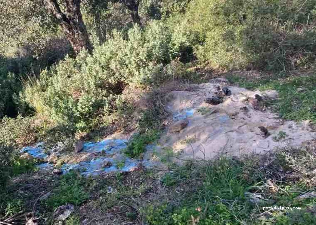 (83120) Sainte-Maxime - Chemin des Saquedes — foto 2