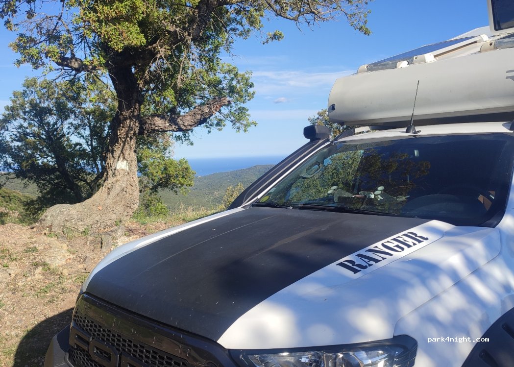 (83120) Sainte-Maxime - Chemin des Saquedes — foto 4