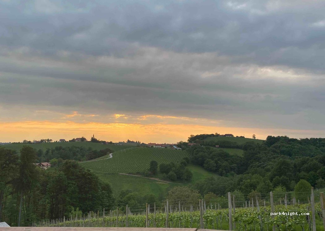Vinogradnistvo Malec Dejan — foto 3