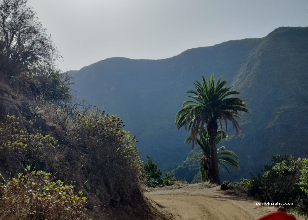 (38829) Hermigua - Unnamed Road — foto