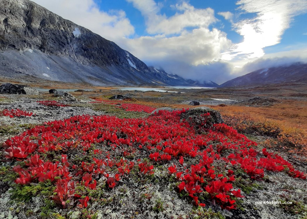 (2695) Grotli - 1 Gamle Strynefjellsveg — foto 4