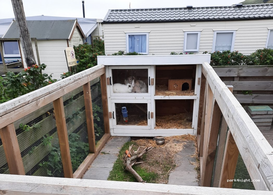 Camping De Zwaluw — foto 2