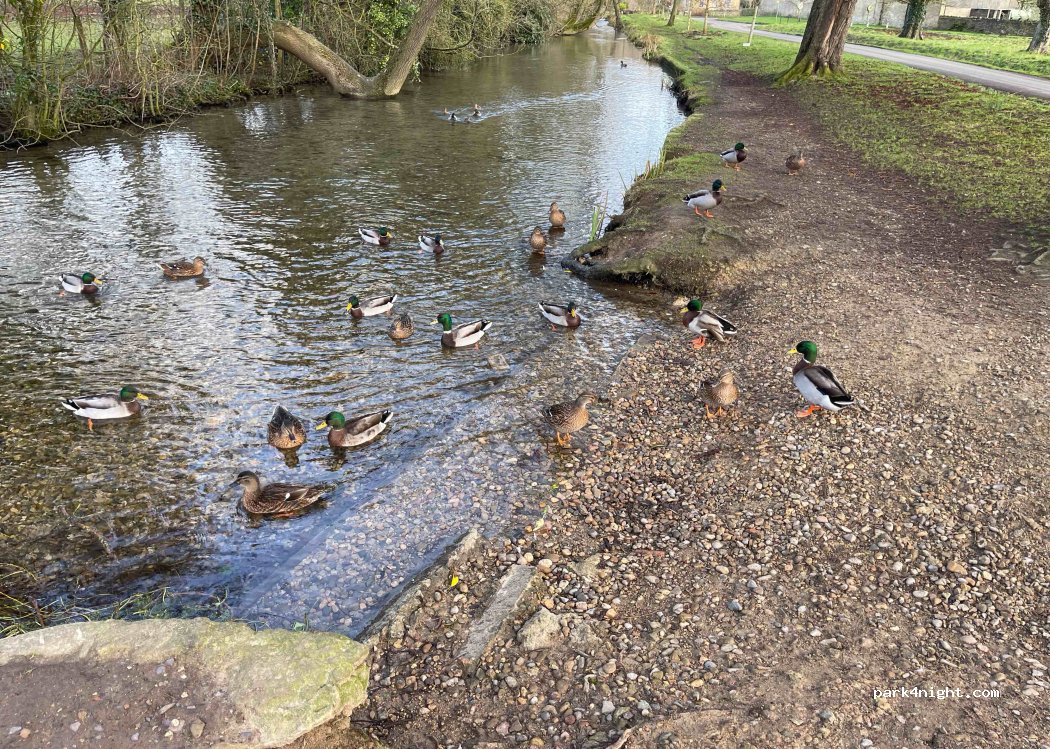 (YO13 9DL) Brompton-by-Sawdon - 44 Cayley Lane — foto 2