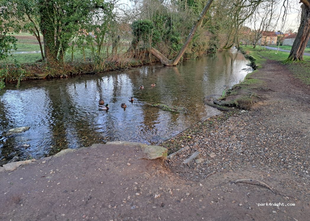 (YO13 9DL) Brompton-by-Sawdon - 44 Cayley Lane — foto 4
