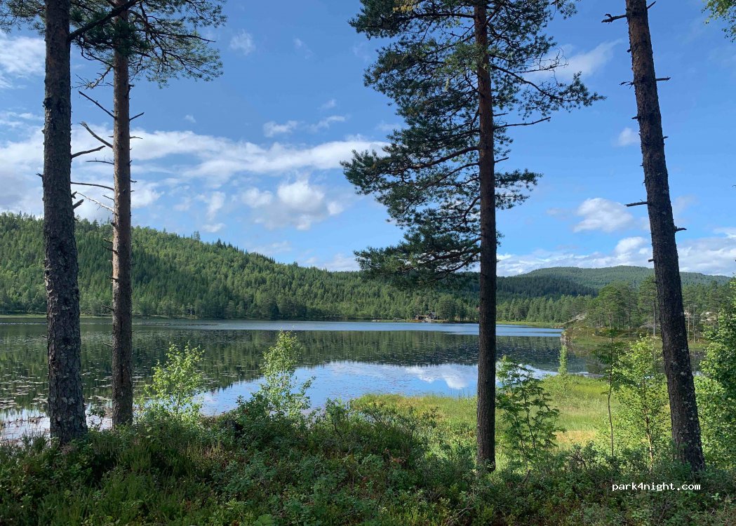(6628) Meisingset - 111 Meisingsetvegen — foto 3