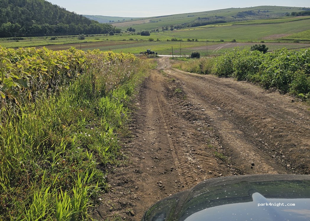 (545600) Târnăveni - Unnamed Road — foto 2