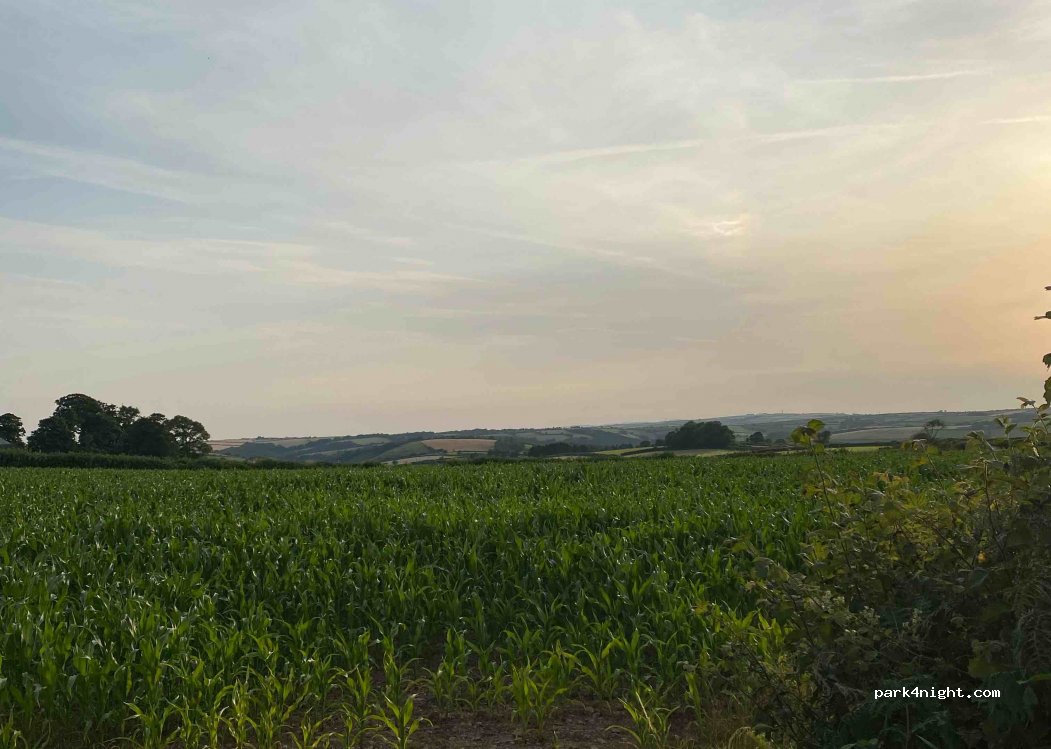(PL13) Looe - B3252 — foto