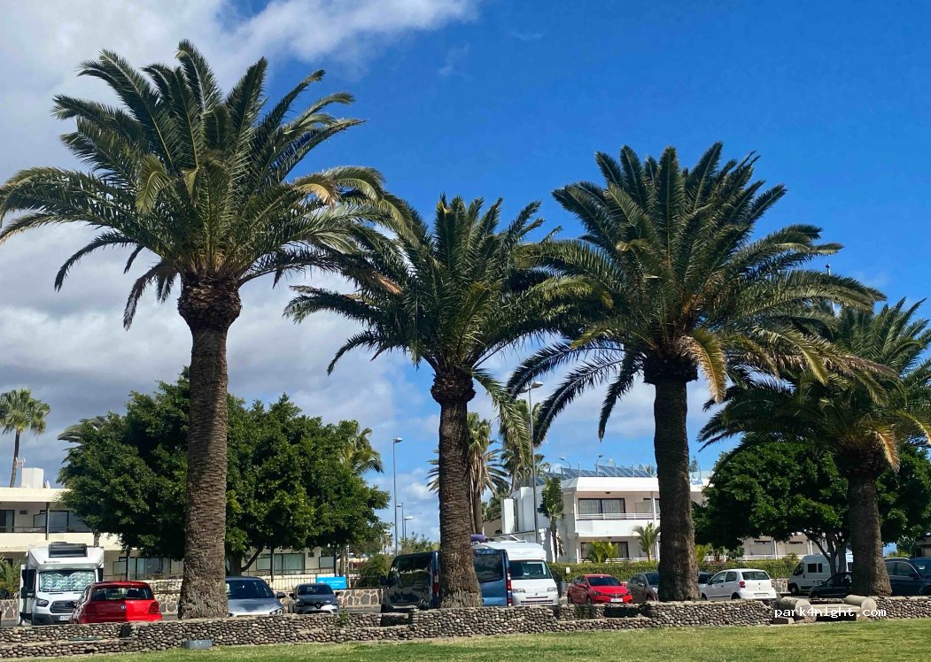 (35100) San Bartolomé de Tirajana - 6 Avenida Granada — foto