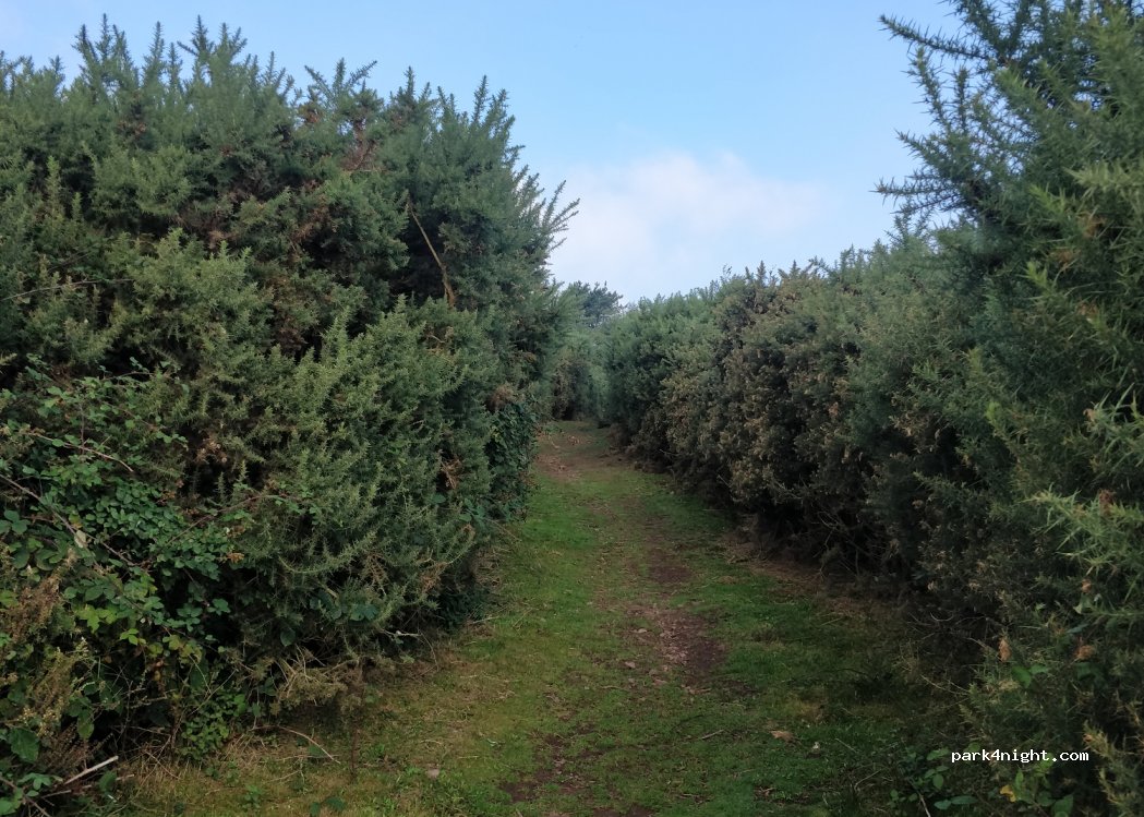(TA24 5LB) Minehead - Hill Road — foto