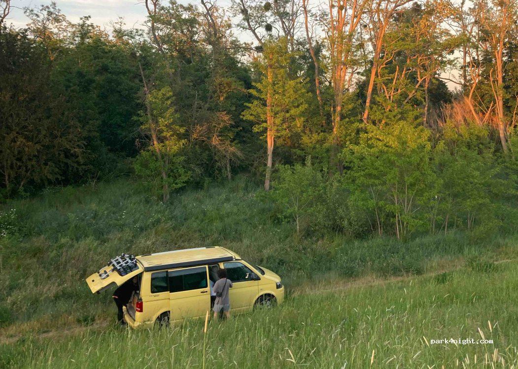 (45430) Bou - Chemin de la Deleu — foto 2