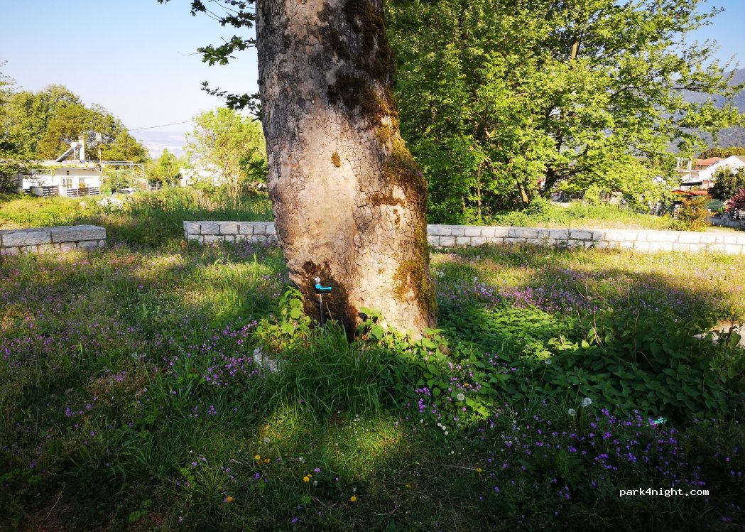 (455 00) Loggades - Unnamed Road — foto 2