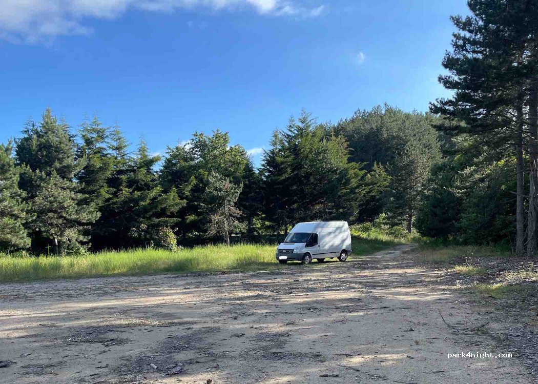 (87040) Varco San Mauro - Strada Provinciale 247 — foto 2