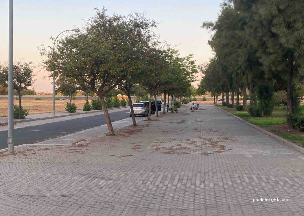 (41015) Sevilla - C. Estrella Albireo — foto 3