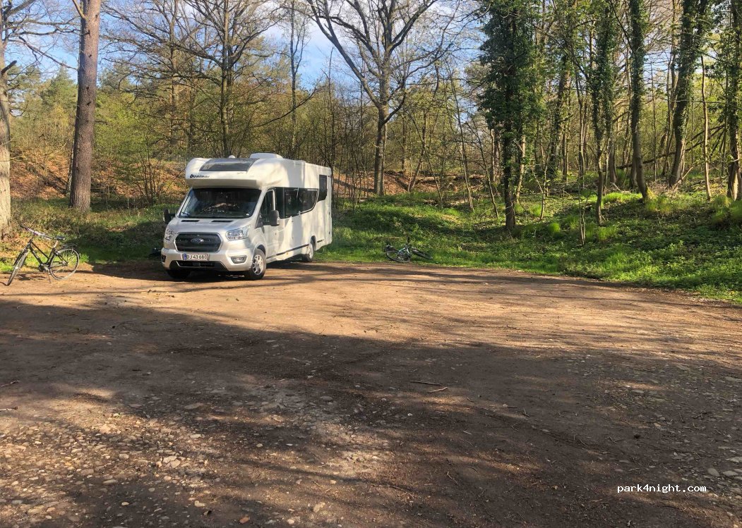 (21272) Egestorf - — foto 4
