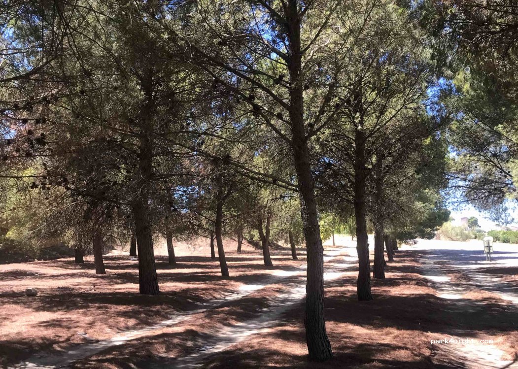 (50172) Alfajarín - N-IIa — foto 2