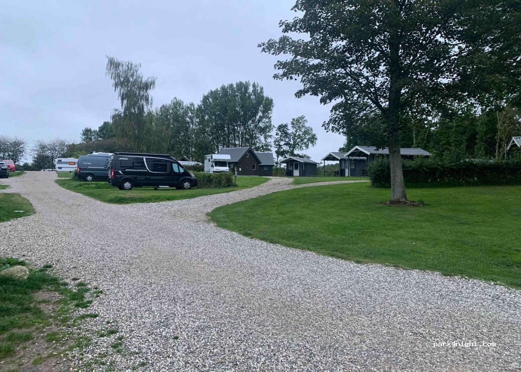 Jelling Familie Camping — foto 3