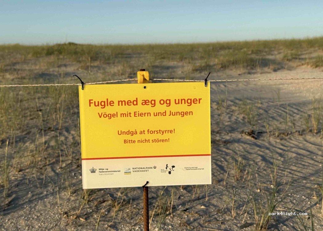 (6792) Rømø - Lakolk Strand — foto 3