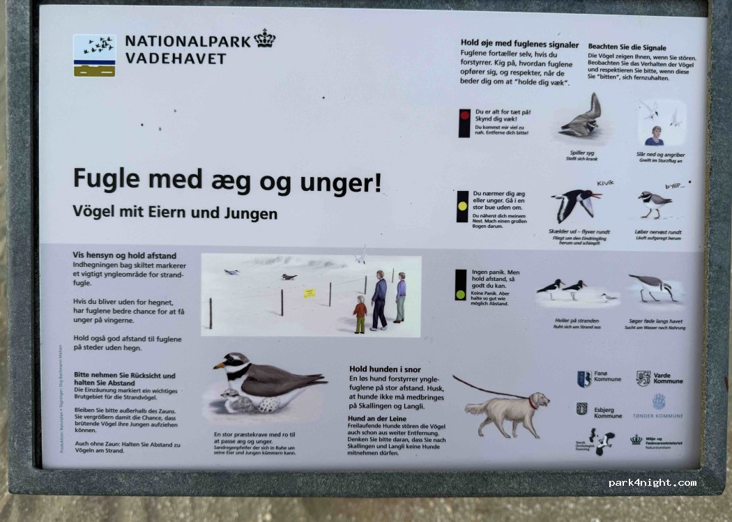(6792) Rømø - Lakolk Strand — foto 4
