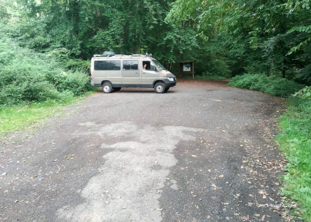 (56459) Gemünden - L302 — foto