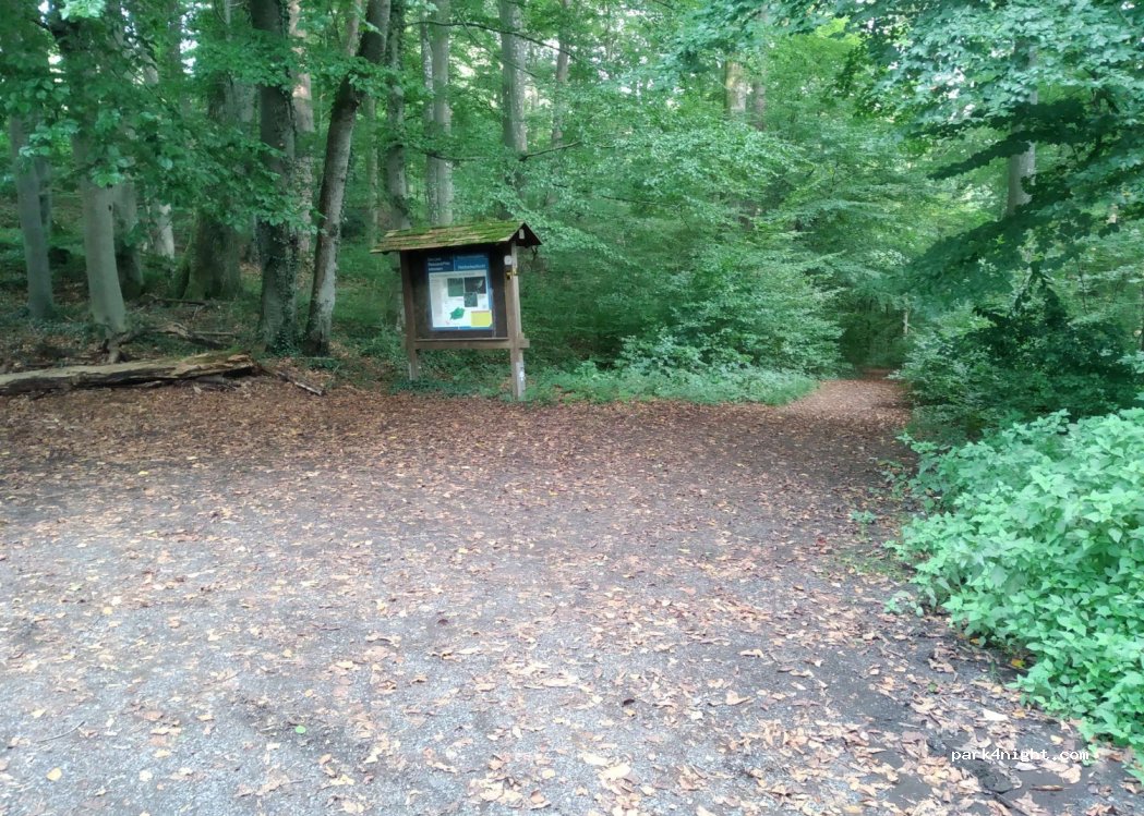 (56459) Gemünden - L302 — foto 3