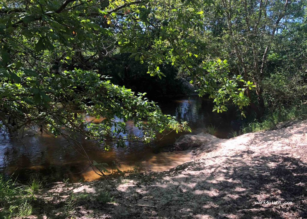 (40630) Trensacq - Route de Trensacq — foto