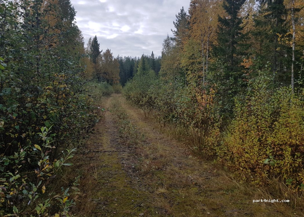 (44480)  - Unnamed Road — foto 2