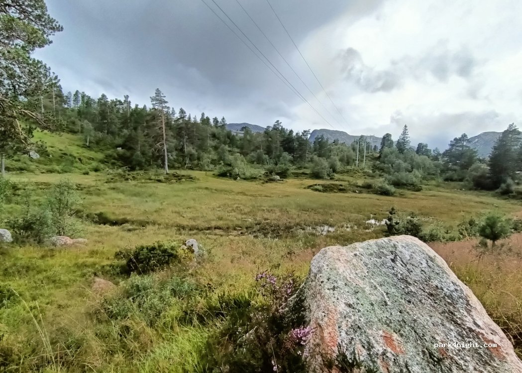 (3880)  - Borsævegen — foto 3