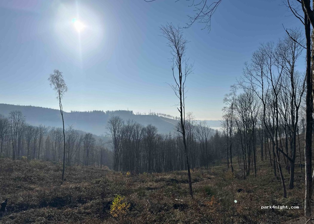 (98527) Suhl - 1 Ringberg — foto 4