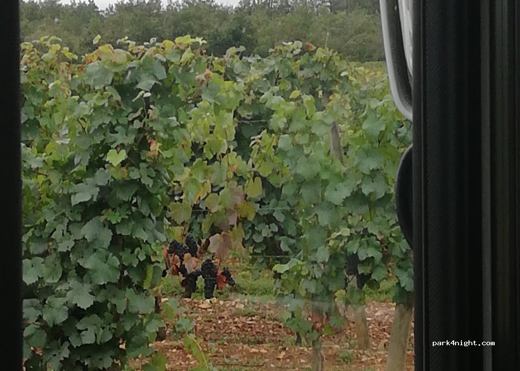 (21700) Villers-la-Faye - D115 — foto