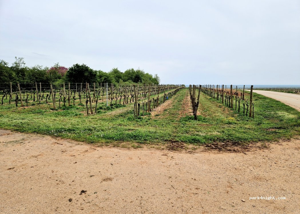 (21700) Villers-la-Faye - D115 — foto 3