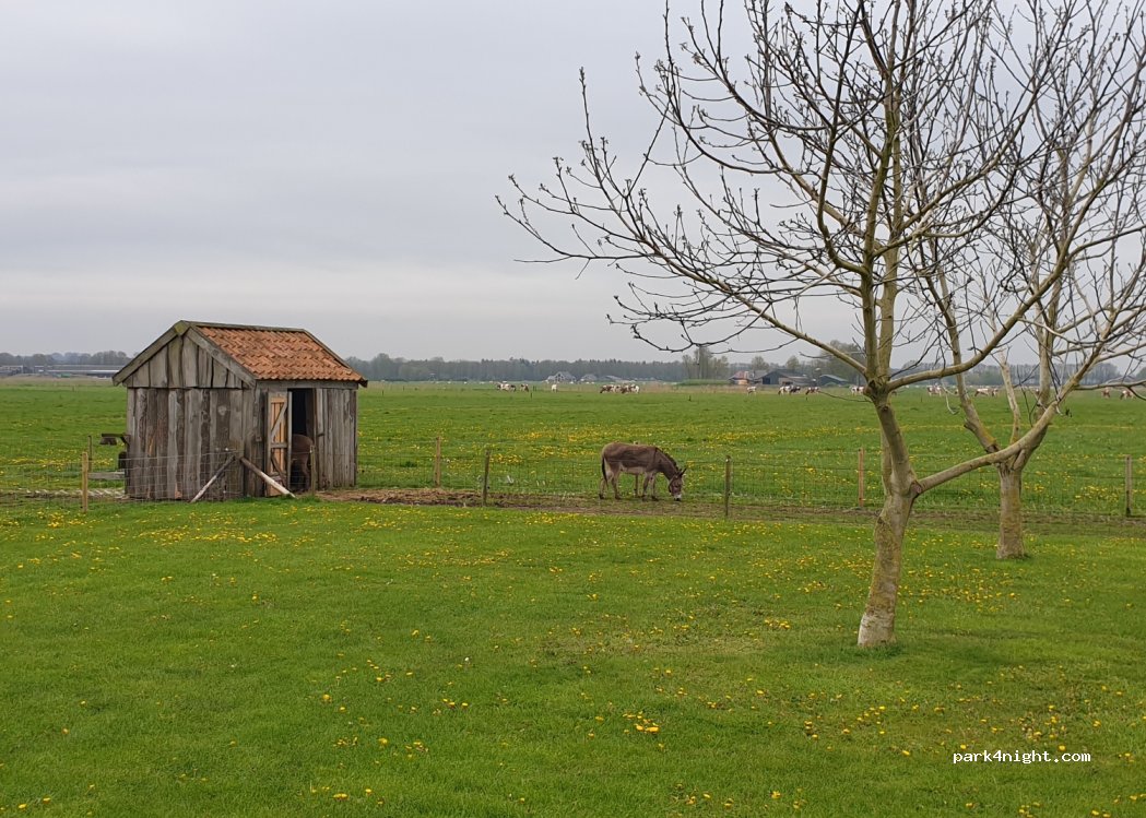 (7448 RZ) Haarle - 37 Luttenbergerweg — foto 4