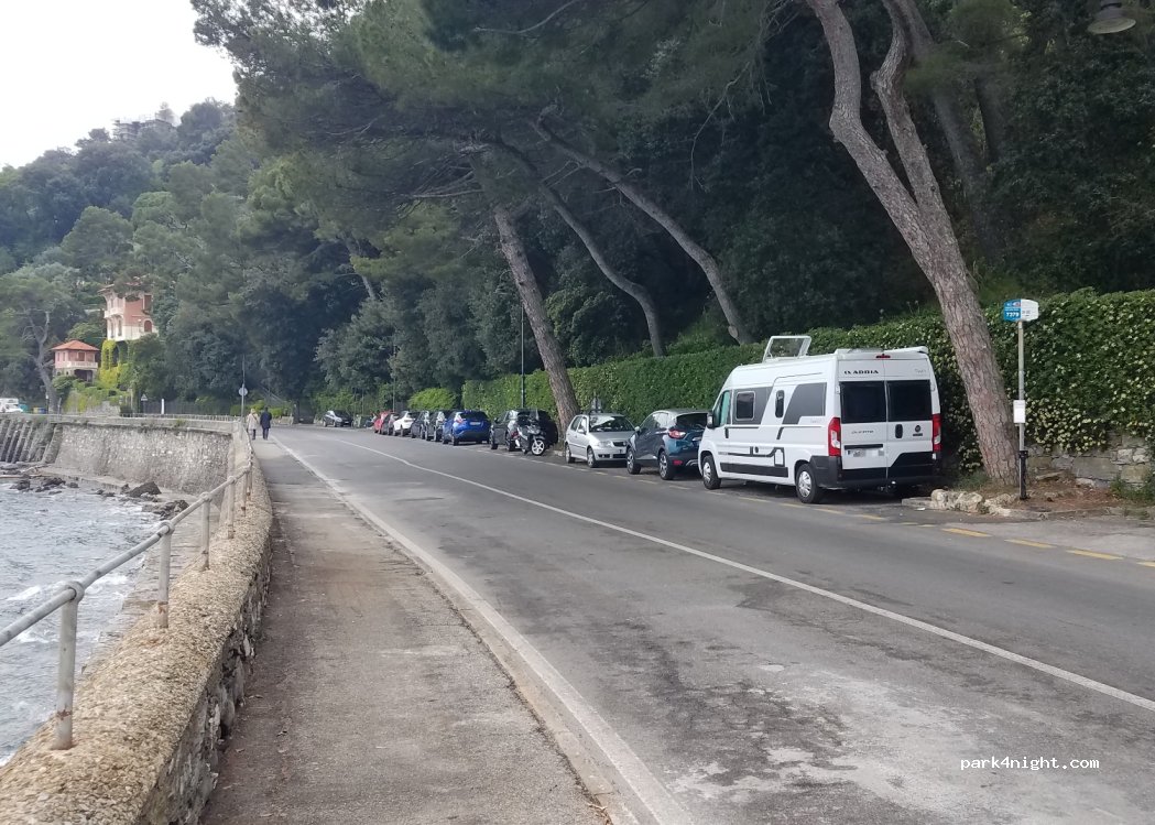 (16038) Pedale - 40 Lungomare Raffaele Rossetti — foto 2