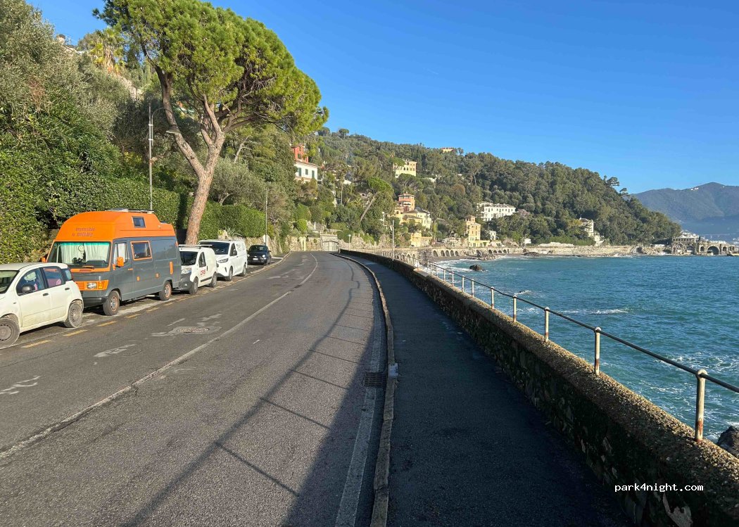 (16038) Pedale - 40 Lungomare Raffaele Rossetti — foto 5