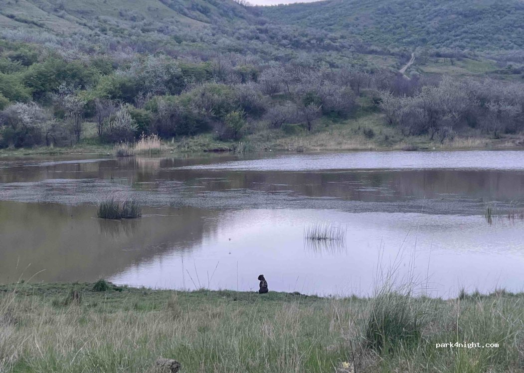 (127555) Scorțoasa - Unnamed Road — foto 3