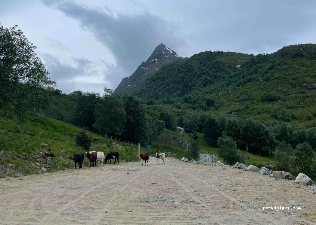 (6826) Gloppen - Unnamed Road — foto 4