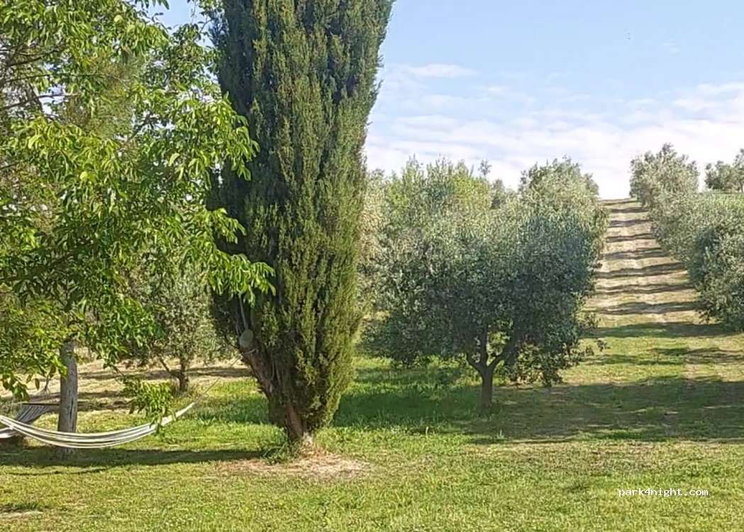 Agriturismo Villa Bussola — foto 4