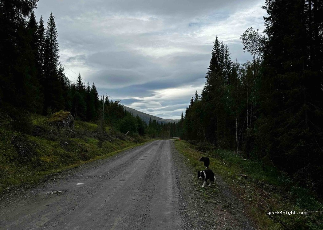 (8658) Mosjøen - Unnamed Road — foto 4